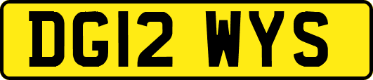 DG12WYS