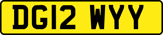 DG12WYY