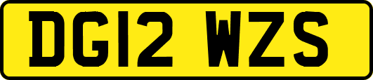 DG12WZS