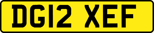 DG12XEF