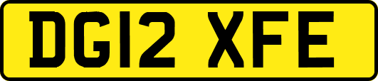 DG12XFE