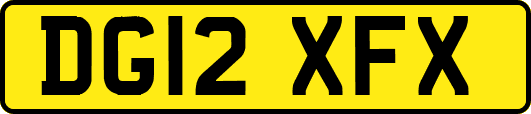 DG12XFX