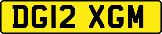 DG12XGM