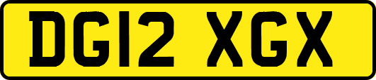DG12XGX