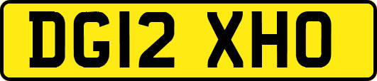 DG12XHO