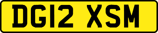 DG12XSM