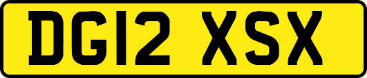 DG12XSX