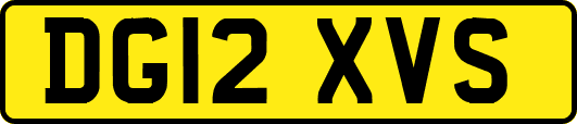 DG12XVS