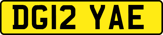DG12YAE