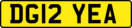 DG12YEA