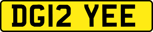 DG12YEE