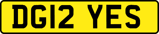 DG12YES