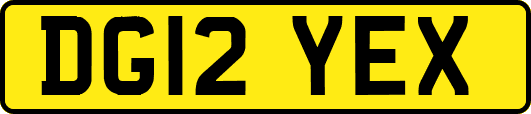 DG12YEX