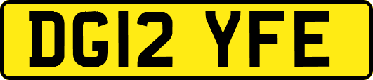 DG12YFE