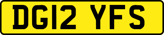 DG12YFS