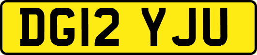 DG12YJU