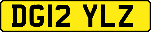 DG12YLZ