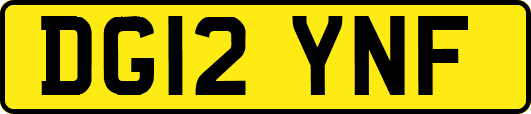 DG12YNF