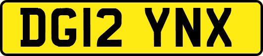 DG12YNX