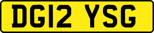 DG12YSG