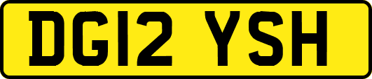 DG12YSH