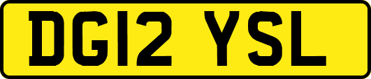 DG12YSL