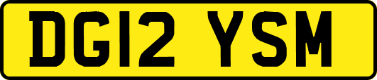 DG12YSM