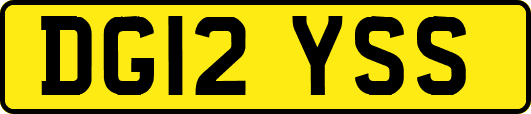 DG12YSS