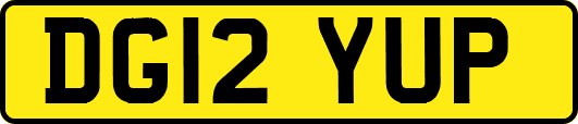 DG12YUP