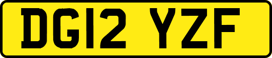DG12YZF