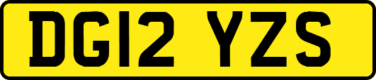 DG12YZS