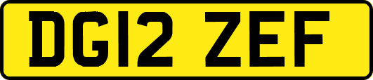DG12ZEF