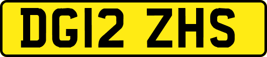 DG12ZHS