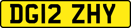 DG12ZHY