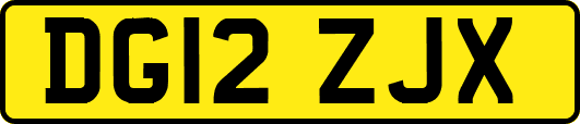 DG12ZJX
