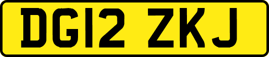 DG12ZKJ