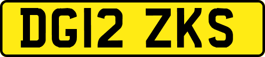 DG12ZKS
