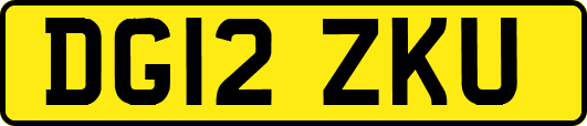 DG12ZKU