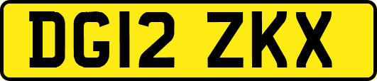 DG12ZKX