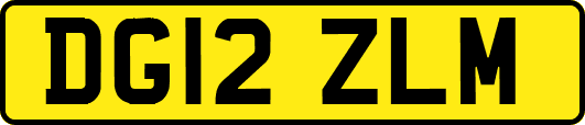 DG12ZLM
