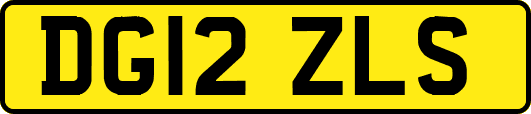 DG12ZLS