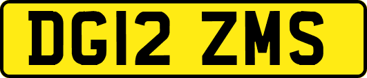 DG12ZMS