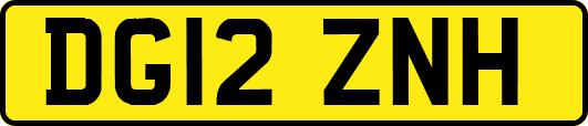 DG12ZNH