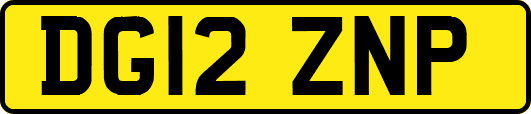 DG12ZNP