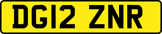 DG12ZNR