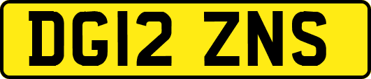 DG12ZNS
