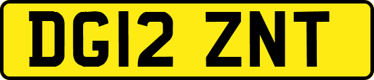 DG12ZNT