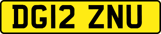 DG12ZNU
