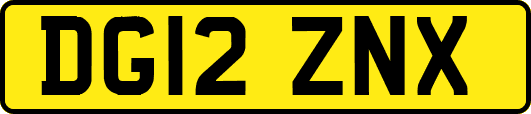 DG12ZNX