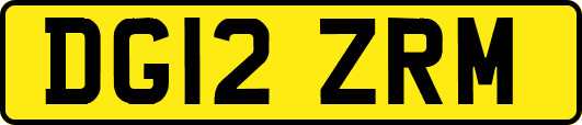 DG12ZRM
